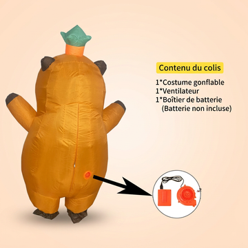 Costume Capybara - VIVA CAPYBARA