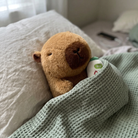 Doudou Capybara - VIVA CAPYBARA