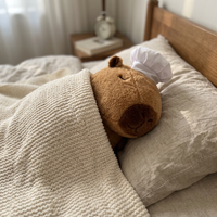 Peluche Capybara Boulanger - VIVA CAPYBARA